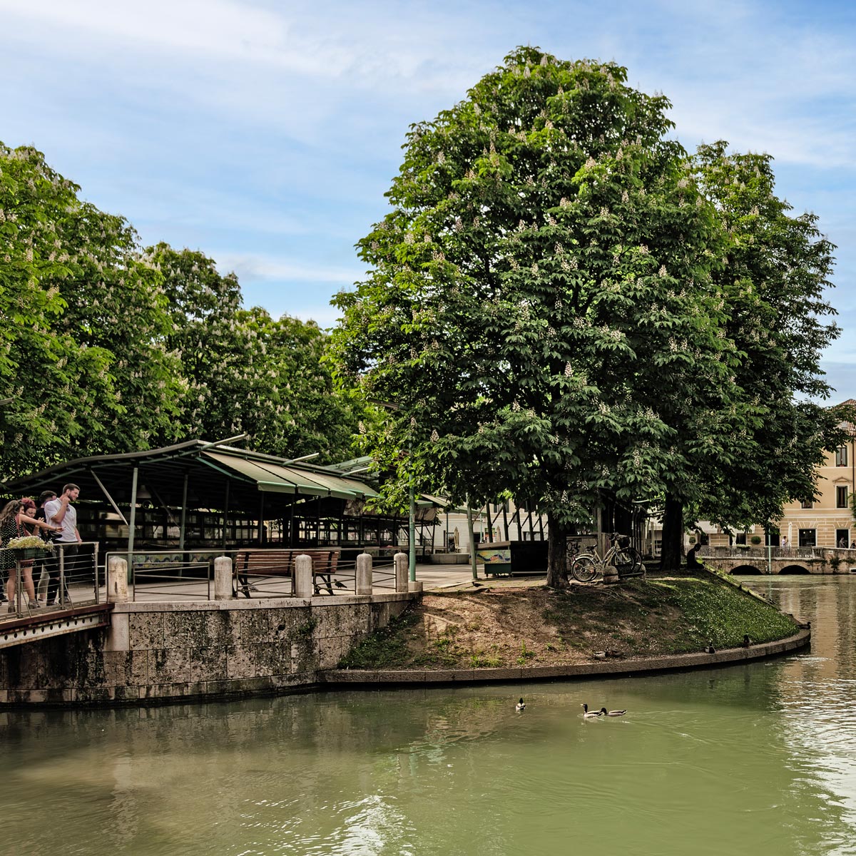 Isola della Pescheria